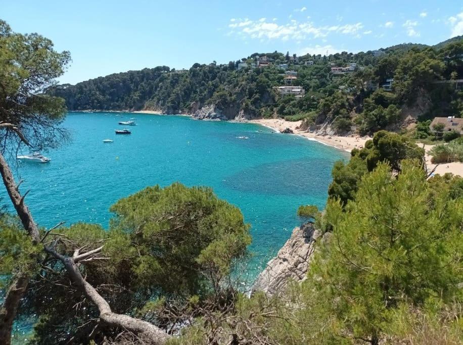 La Calma De Tossa Apartment ชีโรนา ภายนอก รูปภาพ