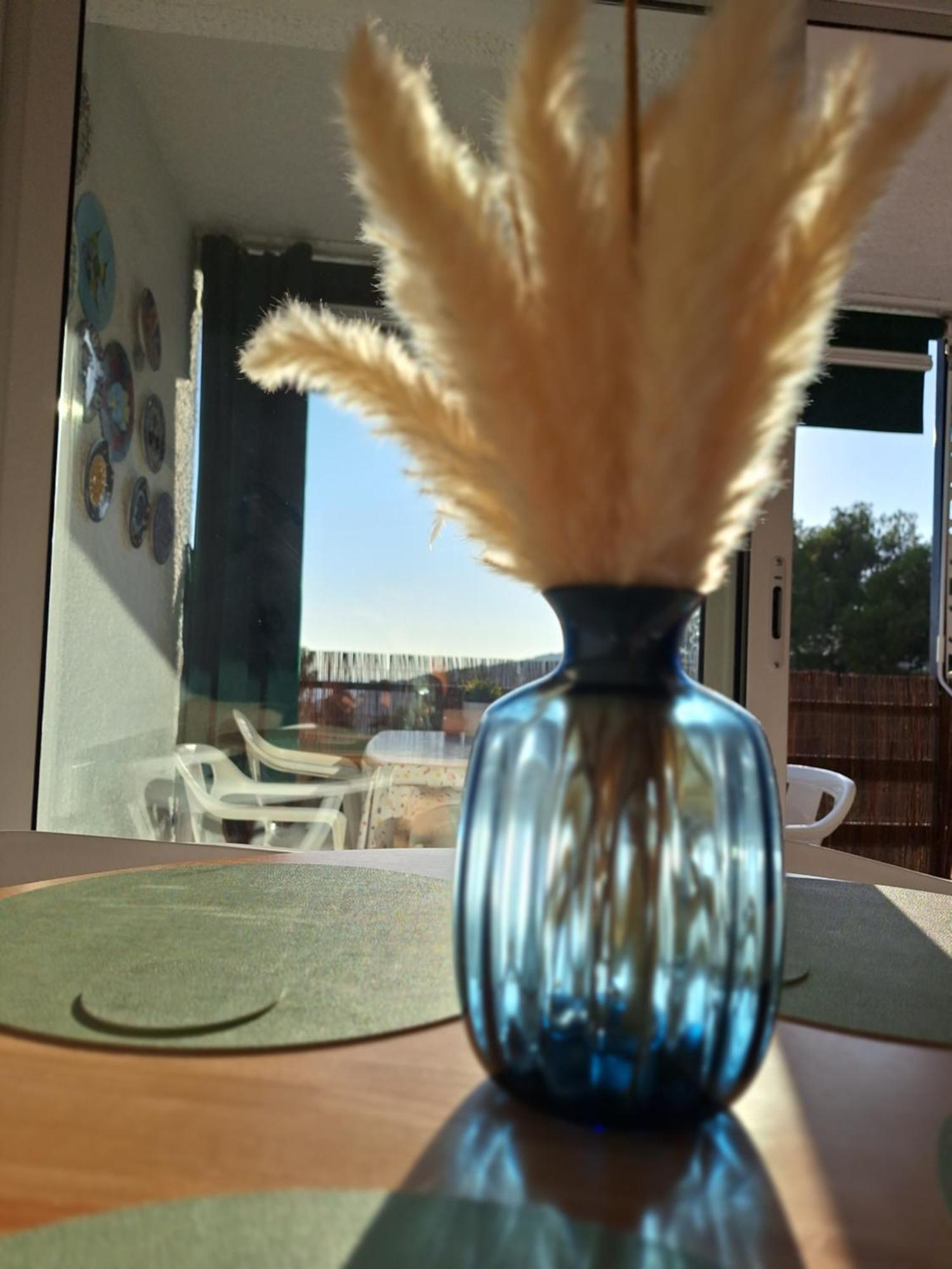La Calma De Tossa Apartment ชีโรนา ภายนอก รูปภาพ